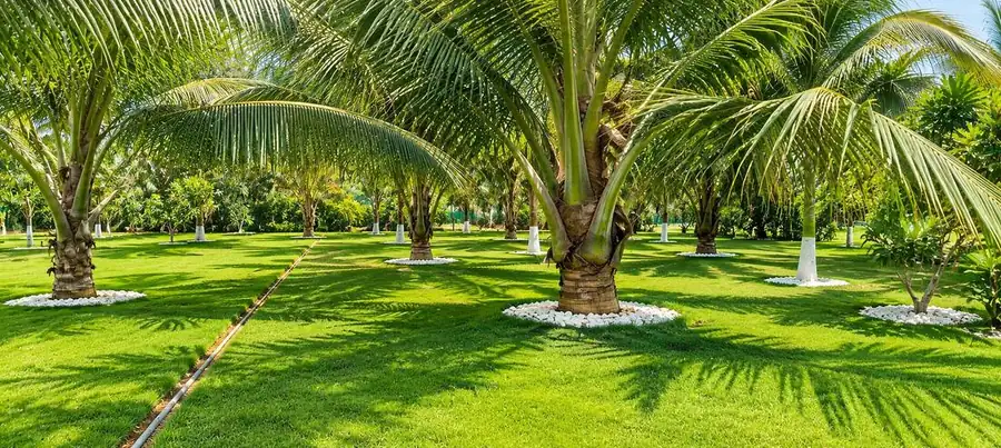 Elite’s Land site