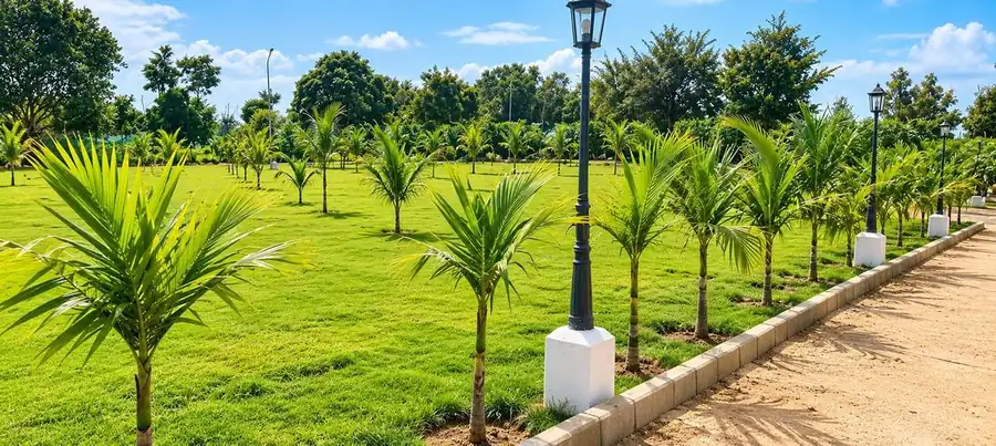 Lamp-lit pathway at Elite’s Land